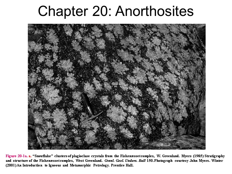 Chapter 20: Anorthosites Figure 20-1a. a. “Snowflake” clusters of plagioclase crystals from the Fiskenæsset